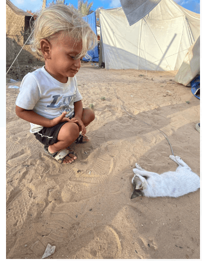 Toddler with a cat